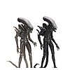 Giger Alien comparison.jpg