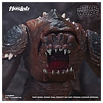 Star Wars HasLab Black Series Rancor - Color Diorama 10.jpg