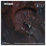 Star Wars HasLab Black Series Rancor - Color Diorama 13.jpg