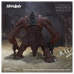 Star Wars HasLab Black Series Rancor - Color Diorama 16.jpg