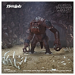 Star Wars HasLab Black Series Rancor - Color Diorama 2.jpg