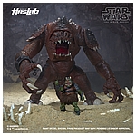 Star Wars HasLab Black Series Rancor - Color Diorama 24.jpg