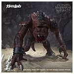 Star Wars HasLab Black Series Rancor - Color Diorama 25.jpg