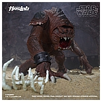 Star Wars HasLab Black Series Rancor - Color Diorama 26.jpg