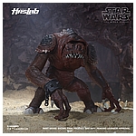 Star Wars HasLab Black Series Rancor - Color Diorama 8.jpg