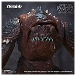 Star Wars HasLab Black Series Rancor - Color Diorama 9.jpg