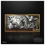 STAR WARS THE BLACK SERIES 6-INCH GALACTIC CREATURES TOY ACTION Figures_pckging 1.jpg